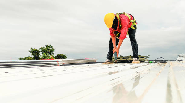 Best Asphalt Shingles Roofing  in Millersburg, OR